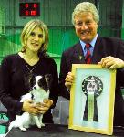 Spinillons Saffire Best puppy in show aged 7months