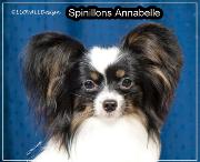 Spinillons Annabelle
