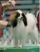 Tiago Winning Points in the States!