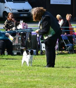 Karen Class win WKC 2014