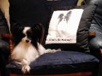 Sparky resting